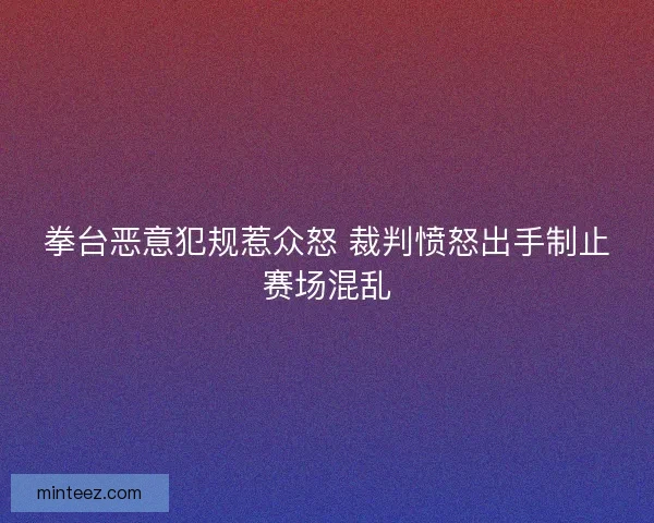 拳台恶意犯规惹众怒 裁判愤怒出手制止赛场混乱